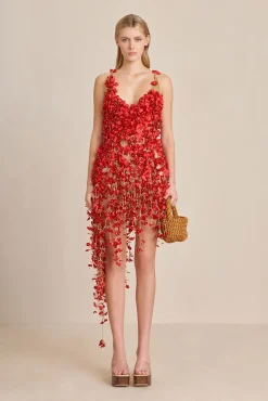 Discount CIELA DRESS - Dresses